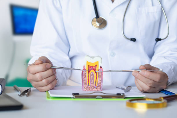 Best Cracked Tooth Emergency Dentist  in Wernersville, PA